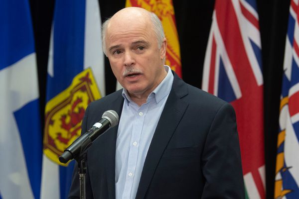 N.L. fitness minister to satisfy with Ukrainian medical doctors annoyed by way of loss of communique from province