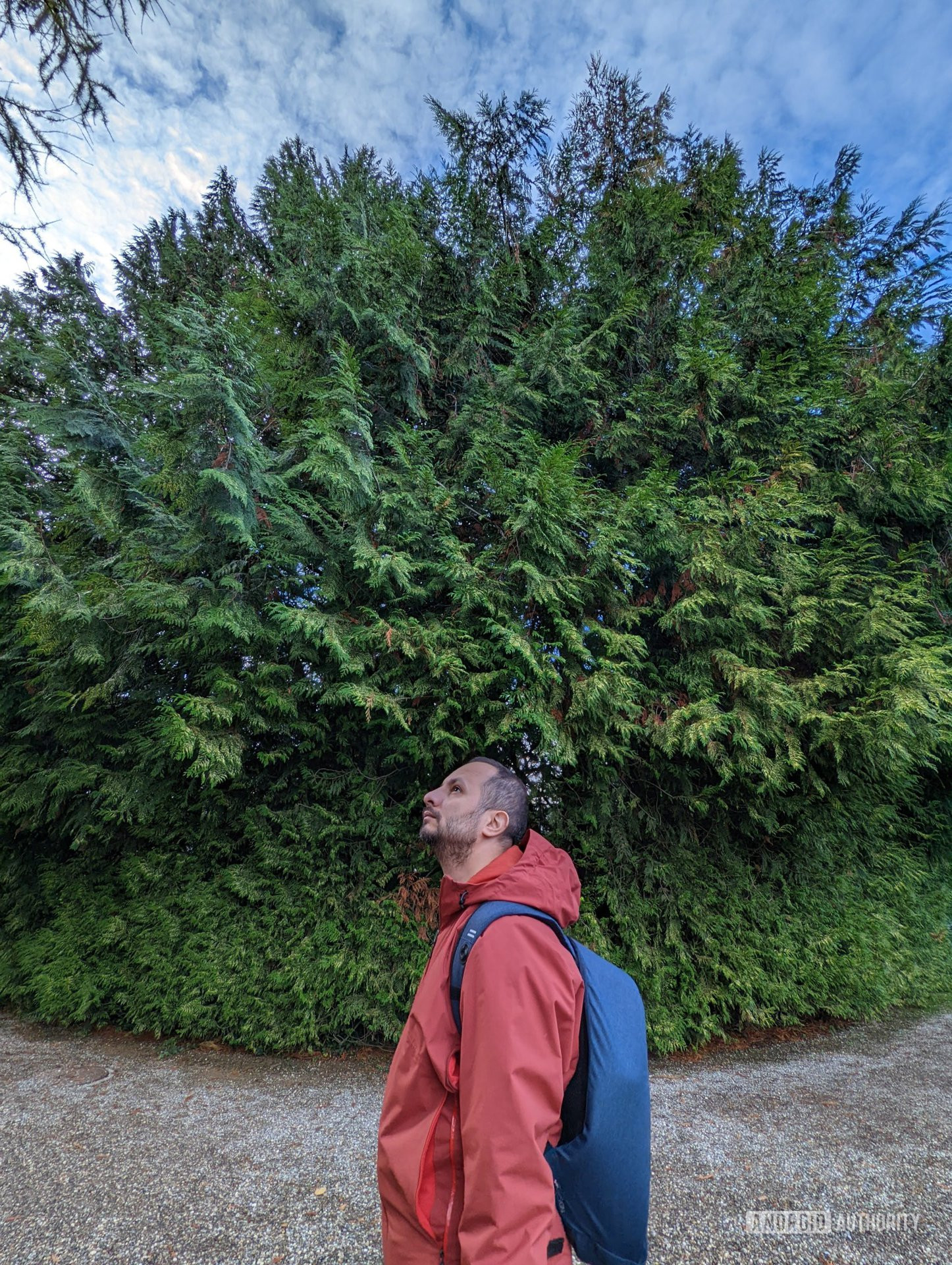 Man standing in front of a big green tree with the Bobby Pro backpack on his back